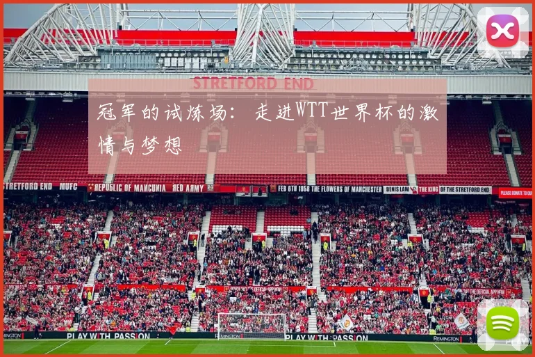 冠军的试炼场:走进WTT世界杯的激情与梦想