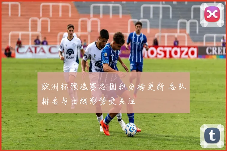 欧洲杯预选赛各国积分榜更新 各队排名与出线形势受关注