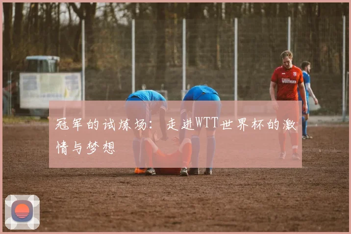 冠军的试炼场:走进WTT世界杯的激情与梦想