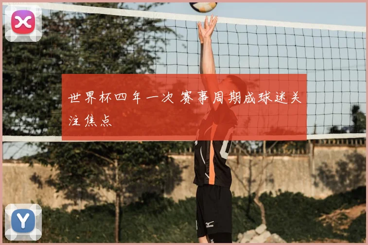 世界杯四年一次 赛事周期成球迷关注焦点