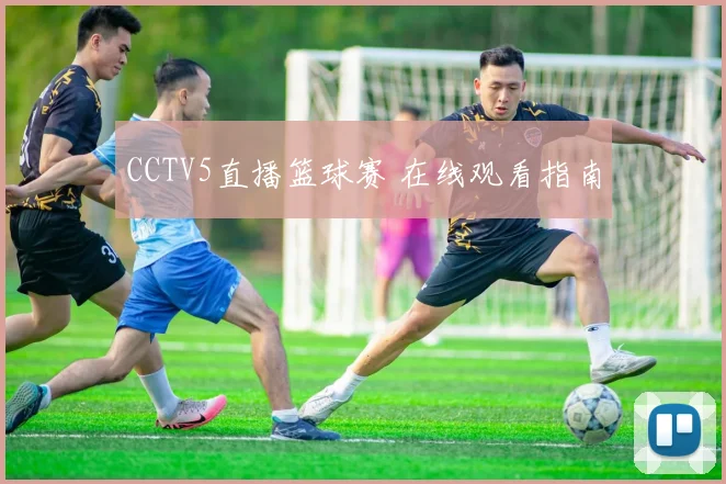 CCTV5直播篮球赛 在线观看指南