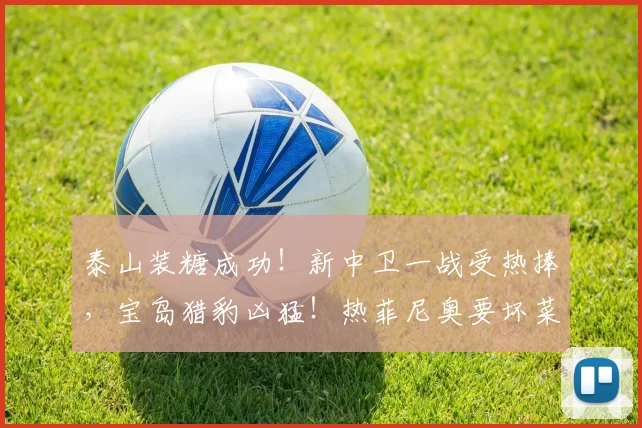 泰山装糖成功！新中卫一战受热捧，宝岛猎豹凶猛！热菲尼奥要坏菜