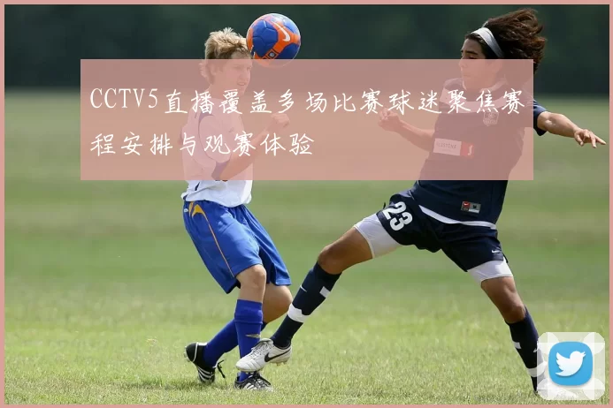 CCTV5直播覆盖多场比赛球迷聚焦赛程安排与观赛体验