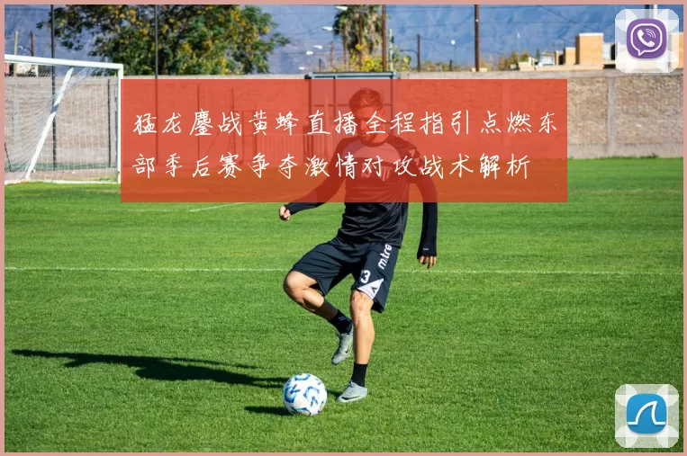 猛龙鏖战黄蜂直播全程指引点燃东部季后赛争夺激情对攻战术解析