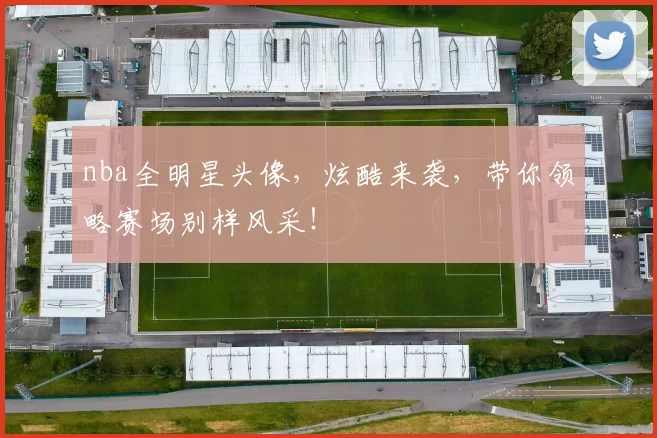 nba全明星头像，炫酷来袭，带你领略赛场别样风采！